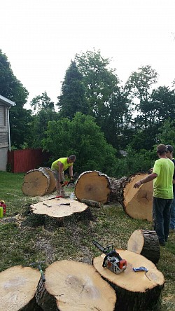 Big logs