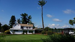 BIG Pine Tree Removal on the golf course