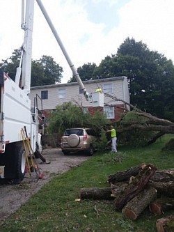 Boom work Tree Removal off Car