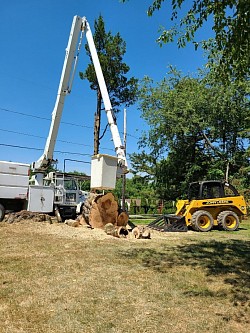 Huge Log Removal with Skid Loader