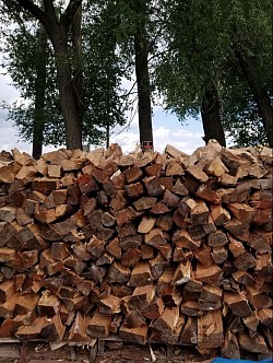 Split and seasoned Firewood